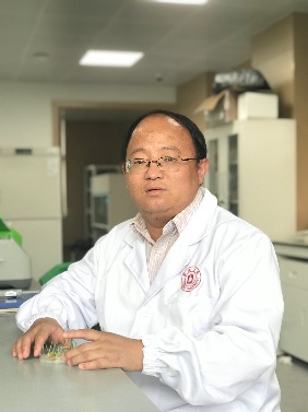 BB平台创新论坛第一千二百四十四讲暨120周年校庆年系列活动：碳（13C,14C）同位素标记技术在稻田土壤碳循环研究中的应用案例