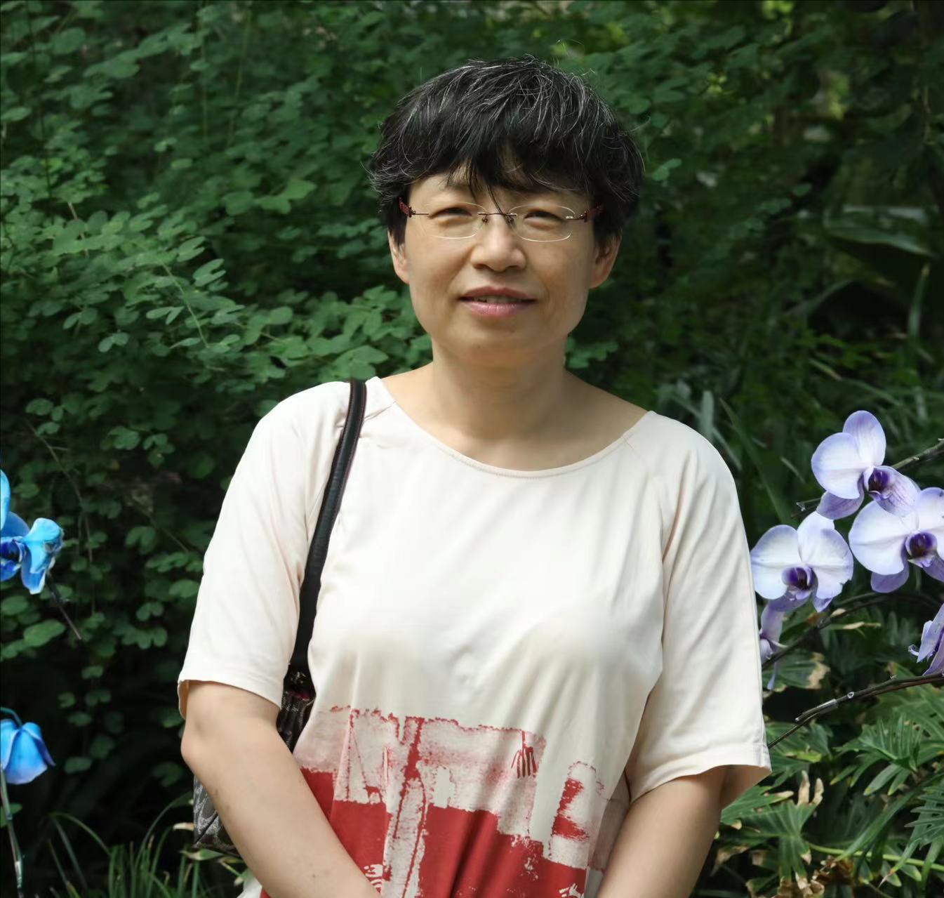  BB平台创新论坛第一千七百六十五讲：题目1-层状岩体岩浆房冷却过程与钒钛磁铁矿床成因 题目2-辽东中生代岩浆岩壳幔相互作用的岩浆和成矿记录