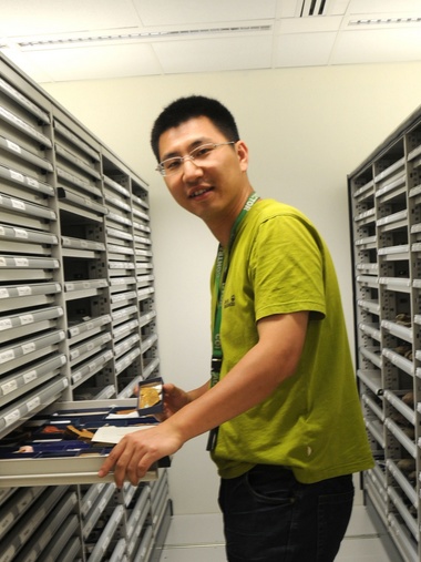 BB平台创新论坛第一千八百零一讲：虫鸣凤舞伴花香：现代陆地生态系统的起源