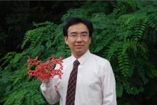 BB平台创新论坛第一千二百七十三讲暨120周年校庆年系列活动： Unexpected slow diffusion in hierarchical porous materials with combined surface and configurational diffusion   